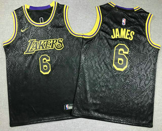 Youth Los Angeles Lakers #6 LeBron James Black City Icon Swingman Jersey